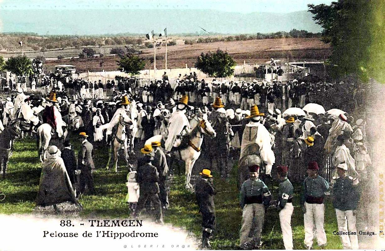 2480- Tlemcen - Hippodrome - Pelouse.jpg